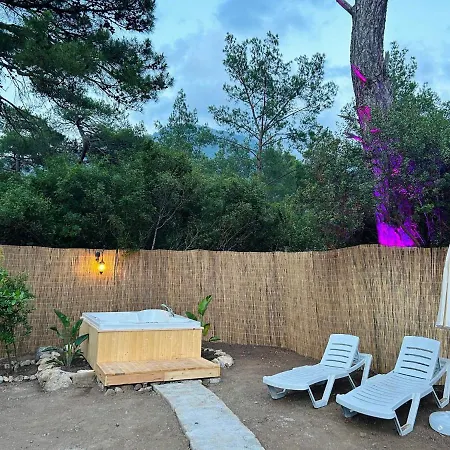 Homestay Zen Bungalov