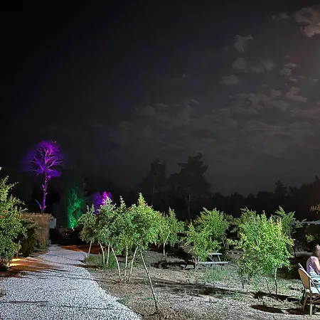 Homestay Zen Bungalov