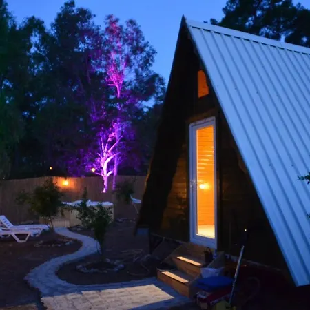 Homestay Zen Bungalov *