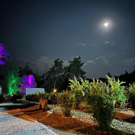Zen Bungalov